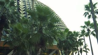 見れば見るほど…