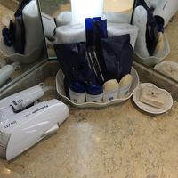 イオンドライヤーがあってよかった。