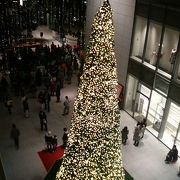 巨大クリスマスツリーが飾られてました