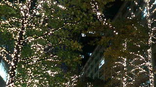 黄色いイチョウ並木が美しくライトアップ