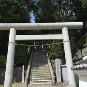 森に囲まれた神社