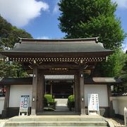 歴史の長ーいお寺　庭がきれいに整備されています