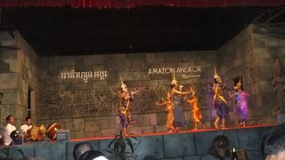 ショーを見ながらディナーを楽しめます