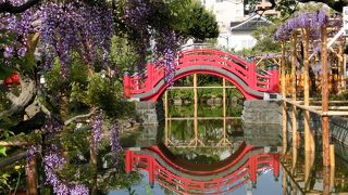 無料のお出かけスポット☆平日の早朝は静かで特におすすめ