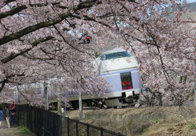 甚六桜 クチコミ アクセス 営業時間 勝沼 塩山 フォートラベル