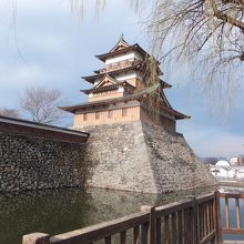 立派な天守閣。この方向からは。