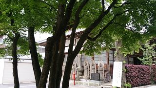 ありがたや福をすいよせるたこ薬師