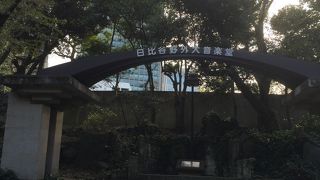 生い茂った緑の中