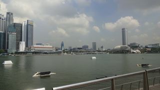 水辺の遊歩道は気持ちが良い。