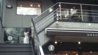 路地角にあるインテリア・ショップ