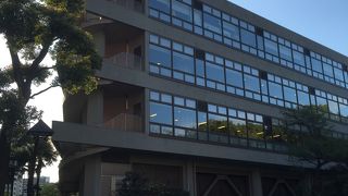 緑に囲まれて読書