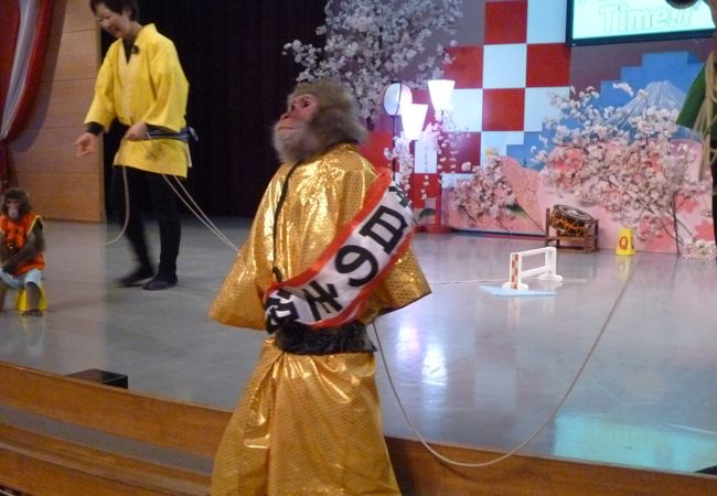 河口湖猿まわし劇場 クチコミ アクセス 営業時間 富士五湖 フォートラベル