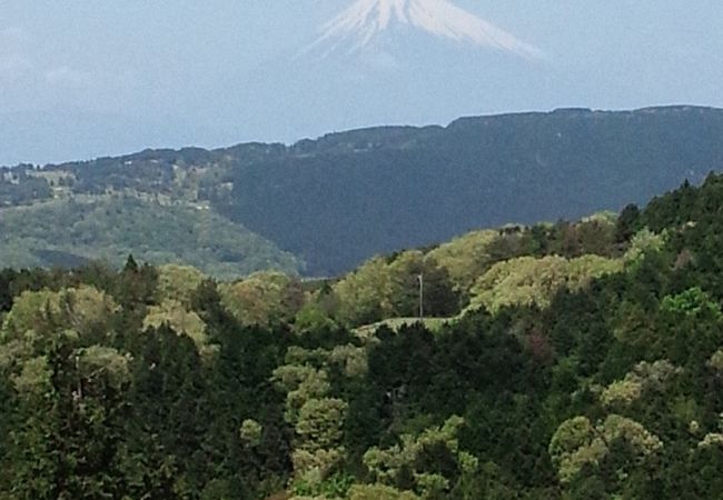 お得なパックが充実しています