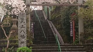 桜を見上げたくなる神社