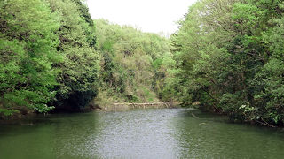 新緑の季節は特に良いと思います。