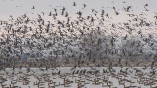 何だこれは～！(；ﾟДﾟ)