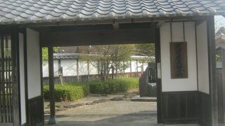 整備された公園にです。