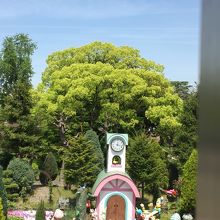 のんびりとした動物園