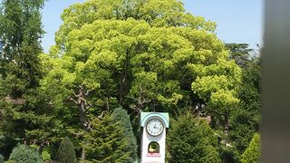 のんびりとした動物園