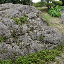 庭石、隆起したもの