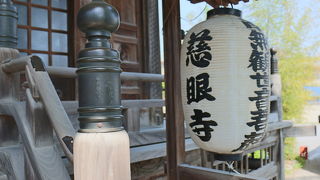 眼の神社