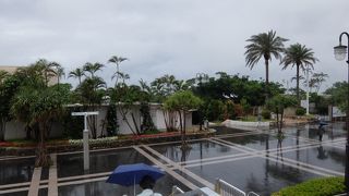 海洋博の跡地を公園に