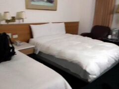 ティエンチン ホテル 写真