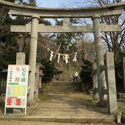 秋田では格式の高い神社