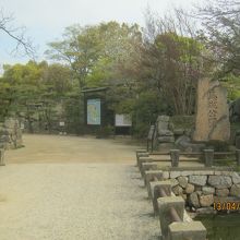 桜が終わりでした。残忍です。