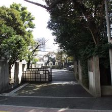 春日通り側の出入口