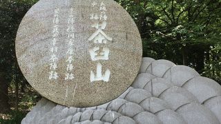 だだの山ではない❗?