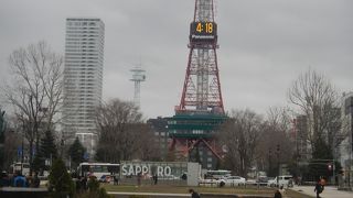 いつもの通り駅前通り歩き、大通り公園を横断する