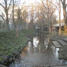 通りの向こうの小川