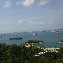 こんな景色が見えました。