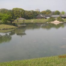 見事な造形美です。