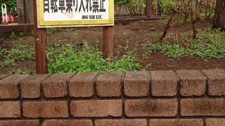 閑静な地域の公園