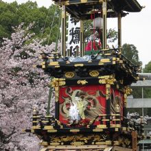 昼の山車と桜