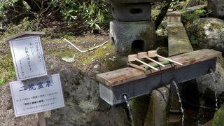 好きなだけ飲めます