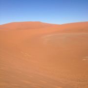 アプリコット色が美しいナミブ砂漠
