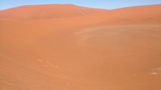 アプリコット色が美しいナミブ砂漠