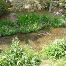小川が流れており水遊びも出来ます