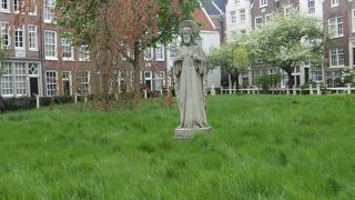 トラムの駅があります