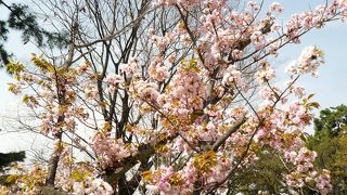 まず地図をもらってから歩きましょう