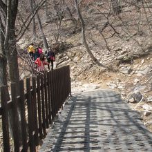 しっかりした遊歩道を歩いて山頂に向かいます
