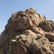 一番高い山ですが登れません