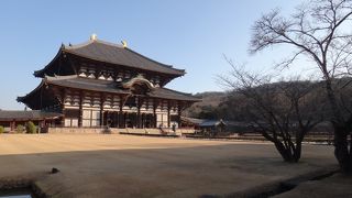 大仏さまが大きい