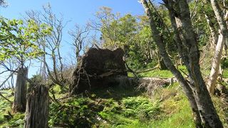 登りやすい様に、木道も幾つかの場所に有って、緑の中を歩く事ができる、非日常的な雰囲気を楽しむ事のできるそんな場所です。