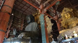 とても大きいです。