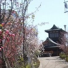 前にある波来湯公園で湯上がりに休むのも乙です