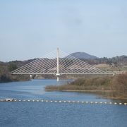 桜の花と春田大橋を眺めてダムカードを貰います